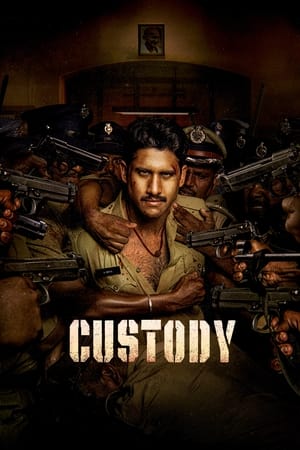 Custody 2023 Hindi (ORG) Dubbed HDTVRip – 480p