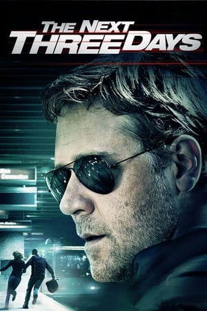 The Next Three Days (2010) Hindi Dual Audio 500MB